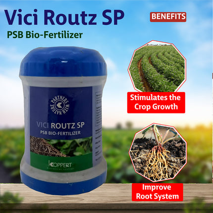 Koppert Vici Routz SP PSB Biofertilizer Powder - Agriplex