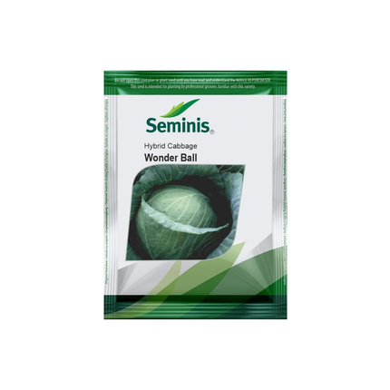Seminis Wonder Ball Cabbage Seeds - 10 GM - Agriplex