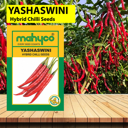 Mahyco Yeshaswini Chilli Seeds