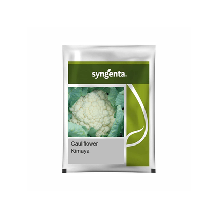 Syngenta Kimaya Cauliflower Seeds - Agriplex
