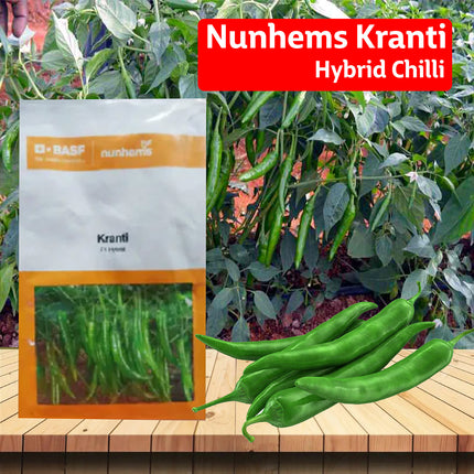 Nunhems Kranti Hybrid Chilli - 1500SEEDS - Agriplex