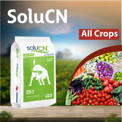 K+S SoluCN Cal Nitrate Fertilizers - 1 KG - Agriplex