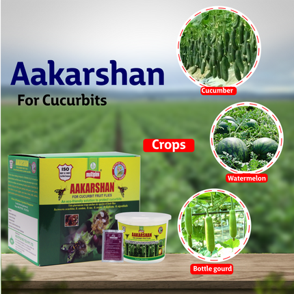 Aakarshan Pheromone Trap for Cucurbits Fruit Flies Crops