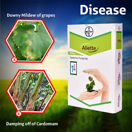 Bayer Aliette Fungicide Disease