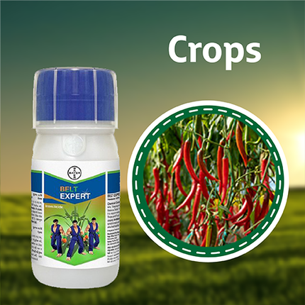 Bayer Belt Expert Insecticide -100 ML  Crops