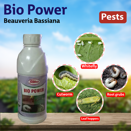 T Stane Bio Power Pests