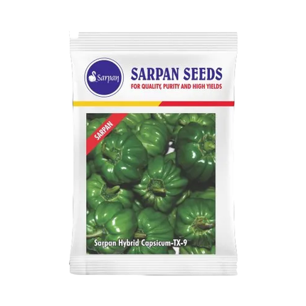 Sarpan Capsicum Hybrid Tx-9 Seeds - 10 GM