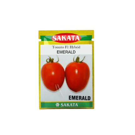 Sakata Emerald Tomato Seeds - Agriplex