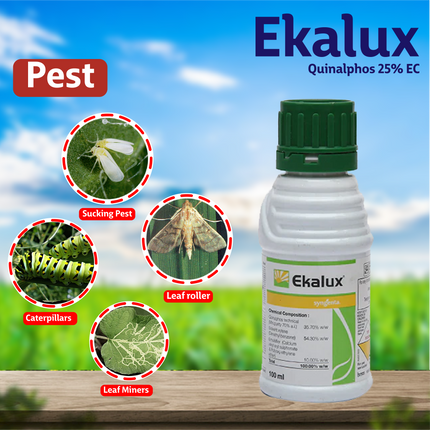 Syngenta Ekalux  Insecticide Application