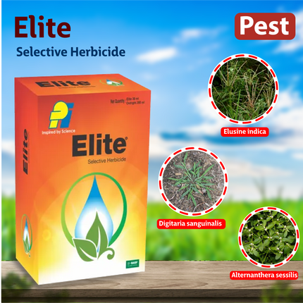 PI Elite Herbicide - 75 ML Weeds