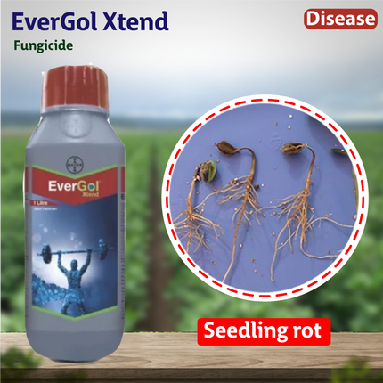 Bayer EverGol Xtend Fungicide Disease