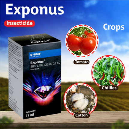 BASF Exponus Insecticide Crops