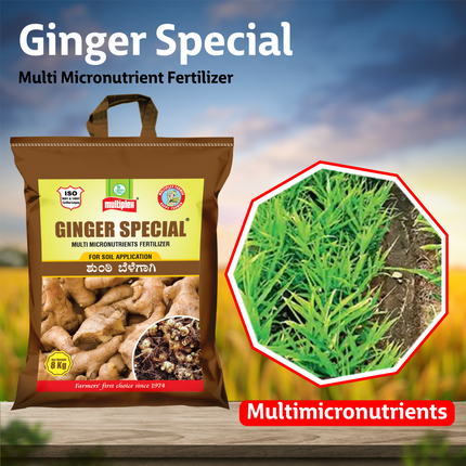 Multiplex Ginger Special (Multi Micronutrient Fertilizer)
