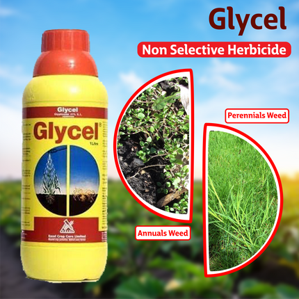 Sumitomo Glycel Herbicide Weeds
