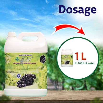 Dr. Soil Grape Special Liquid Consortia - 5 LT Dosage