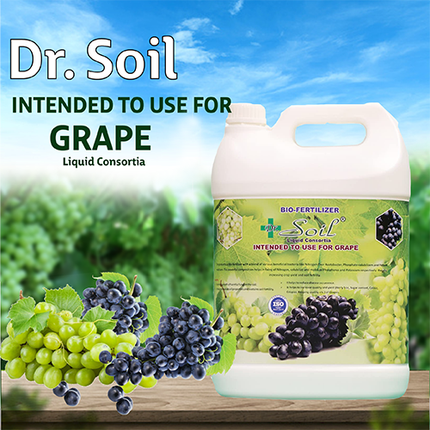 Dr. Soil Grape Special Liquid Consortia - 5 LT