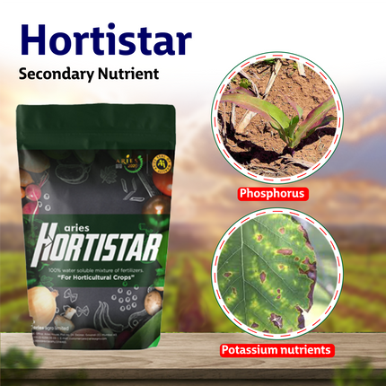 Aries Hortistar Secondary Nutrient Deficiencies
