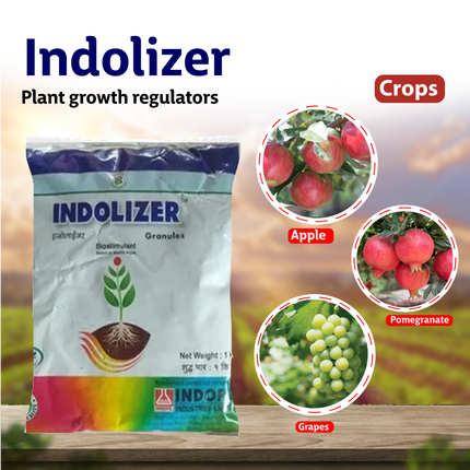Indofil Indolizer PGR - 6 KG Crops