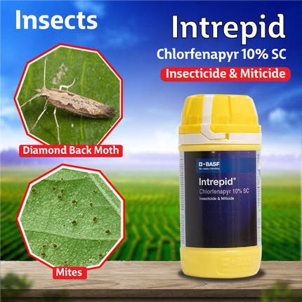 BASF Intrepid Insecticide