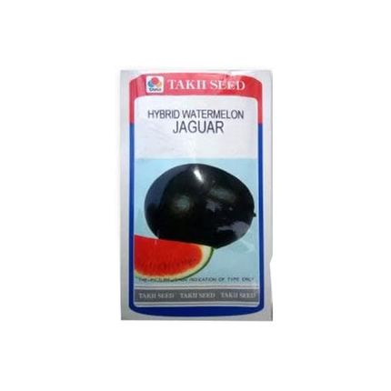 Taki Jaguar Watermelon F1 Seeds - 10 GM - Agriplex