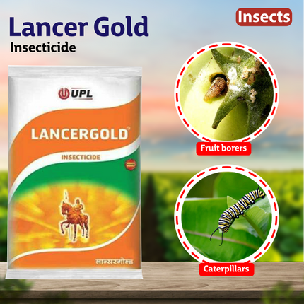UPL Lancer Gold Insecticide