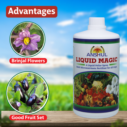 Anshul Liquid Magic (Liquid Micronutrient Fertilizer) Advantages