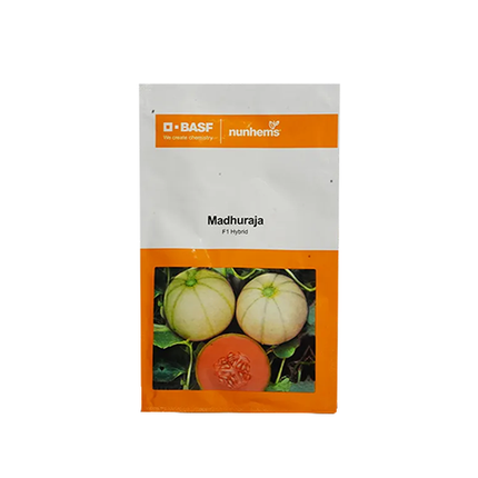 Nunhems Madhuraja Muskmelon Seeds - Pack of 1000 Seeds - Agriplex