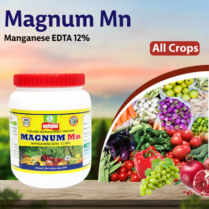 Multiplex Magnum Mn (Manganese EDTA 12%)  All crops