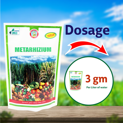 Multiplex Metarhizium (Powder) - 1 KG Dosage