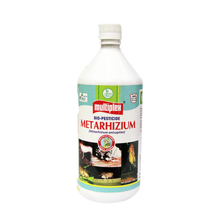 Multiplex Metarhizium Insecticide (Liquid)