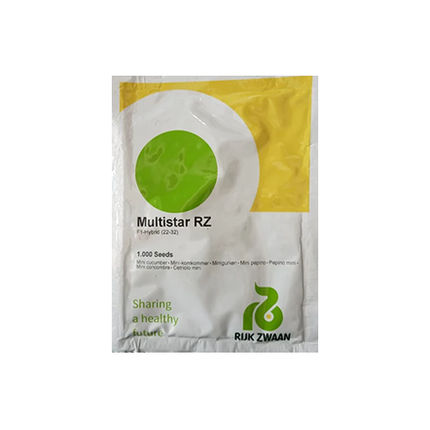Multistar RZ F1 Cucumber Seeds - 1000 SEEDS - Agriplex