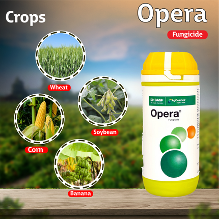 BASF Opera Fungicide Crops