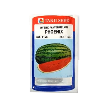 Taki Phoenix F1 Watermelon Seeds - 10 GM - Agriplex