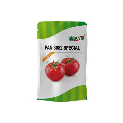 PAN 3682 Spl Hybrid Tomato Seeds (Deep Red, Round) - 10 GM - Agriplex