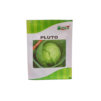 PAN Pluto Hybrid Cabbage Seeds (Dark Green, Round) - 10 GM - Agriplex