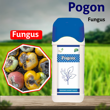 Samruddi Pogon Fungus Control - Agriplex