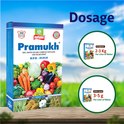 Multiplex Pramukh (19:19:19) Fertilizer Dosage