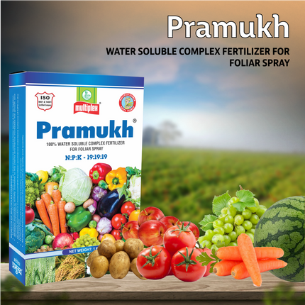 Multiplex Pramukh (19:19:19) Fertilizer