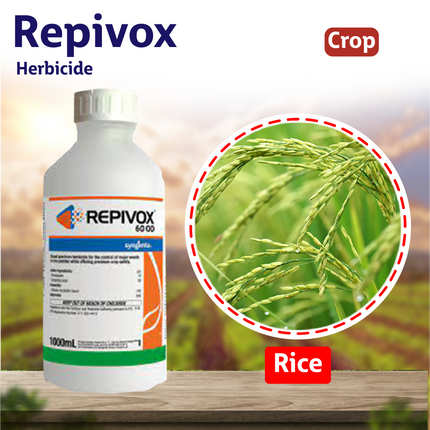 Syngenta Repivox Herbicide Crops