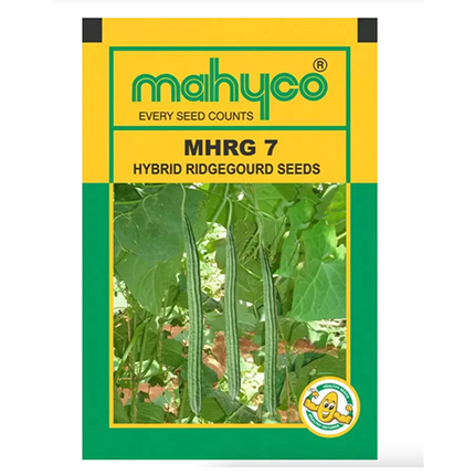 Mahyco Ridgegourd Mahy 7 Seeds - 50 GM