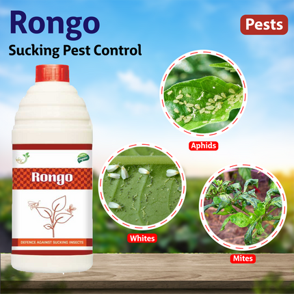 Samruddi Rongo Sucking Pest Control - Agriplex