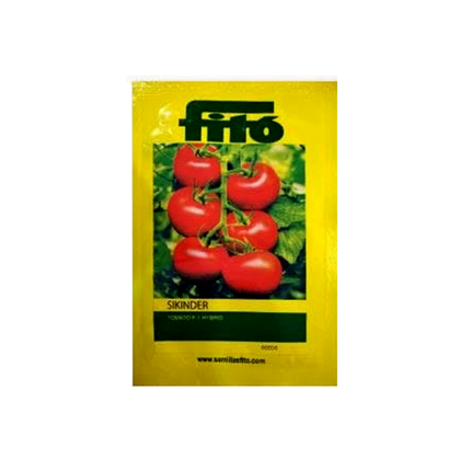 FITO Sikinder Tomato Seeds - Agriplex