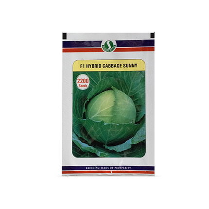 SUNGRO Sunny Cabbage Seeds - 2200 SEEDS (Pack of 2) - Agriplex