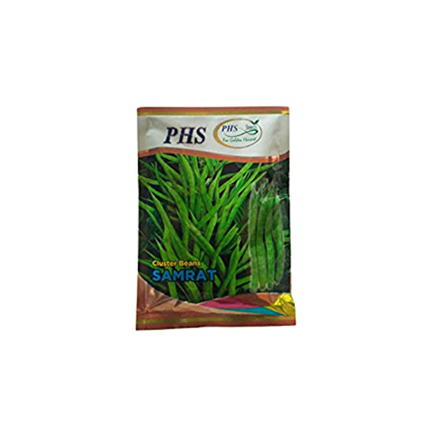 PHS Cluster Beans Samrat Seeds - Agriplex