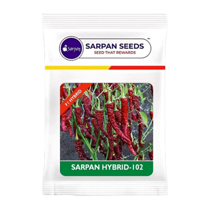 Sarpan 102 Byadgi Chilli Seeds - 10 GM