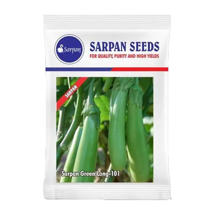 Sarpan Hybrid Green Brinjal Long-101 Seeds - 20 GM