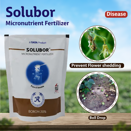 Tata Solubor (Boron 20%) Micronutrient Fertilizer - Agriplex