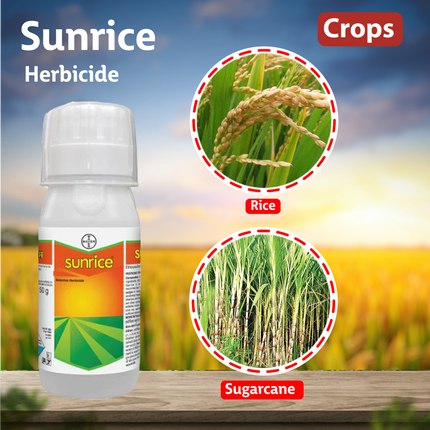 Bayer Sunrice Herbicide Crops