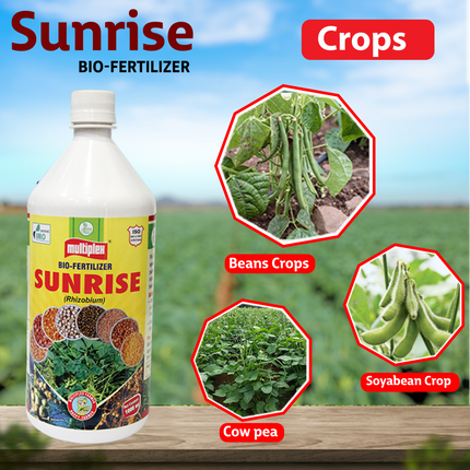 Multiplex Sunrise Bio Fertilizer - Liquid Crops