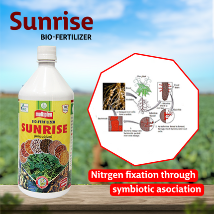 Multiplex Sunrise Bio Fertilizer - Liquid
